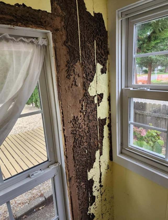 Damage Window Wood Side — Beachwood, NJ — McGuire & McGuire Property Maintenance & Repair