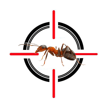 An ant is sitting in the middle of a crosshair.