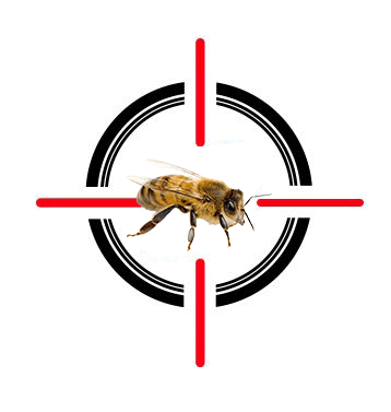 A bee is sitting in the middle of a crosshair.
