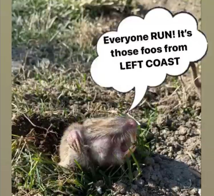 A speech bubble says everyone run it 's those foos from left coast