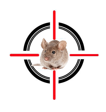A mouse is in the center of a crosshair.