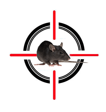A mouse is sitting in the middle of a crosshair.