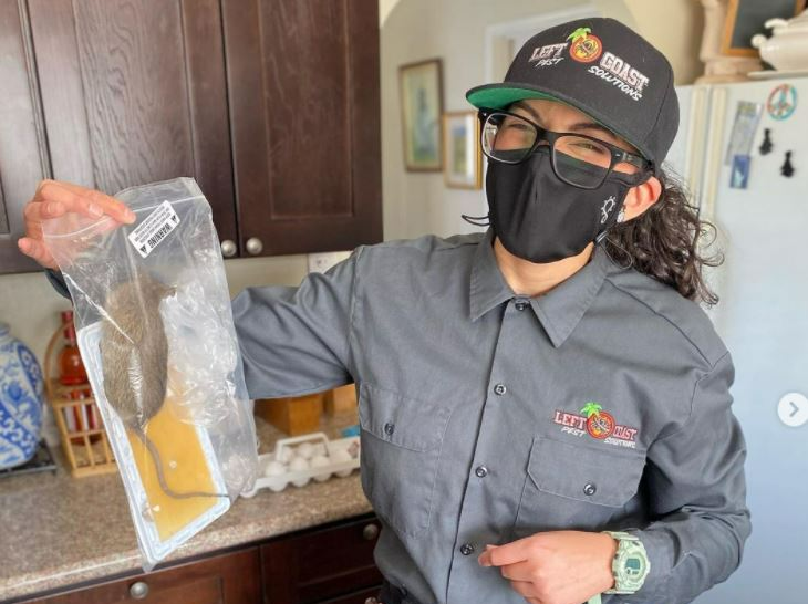 A woman wearing a mask and a hat is holding a plastic bag with a dead rat