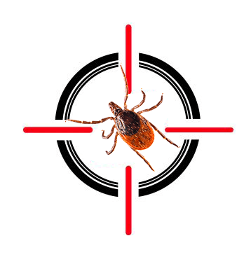 A tick is in the center of a crosshair.
