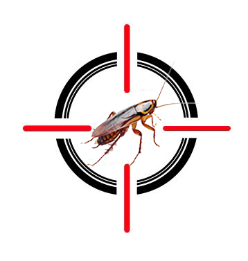 A cockroach is in the center of a crosshair.