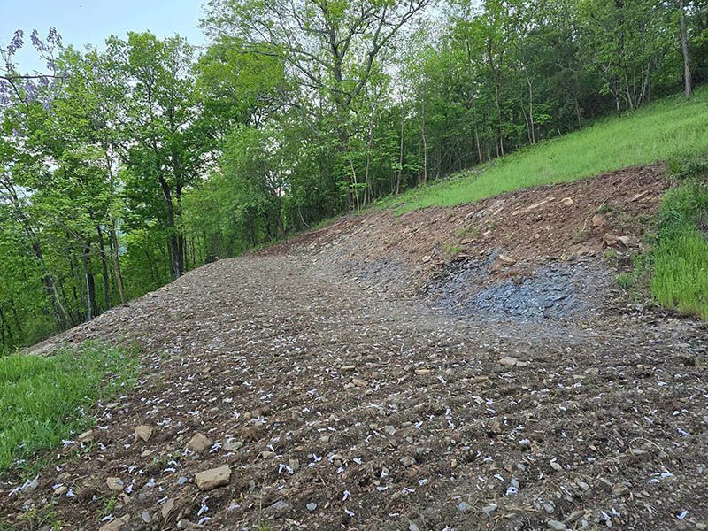 Sloping hillside with exposed gravel, dirt, and sparse grass. Trees line the top.