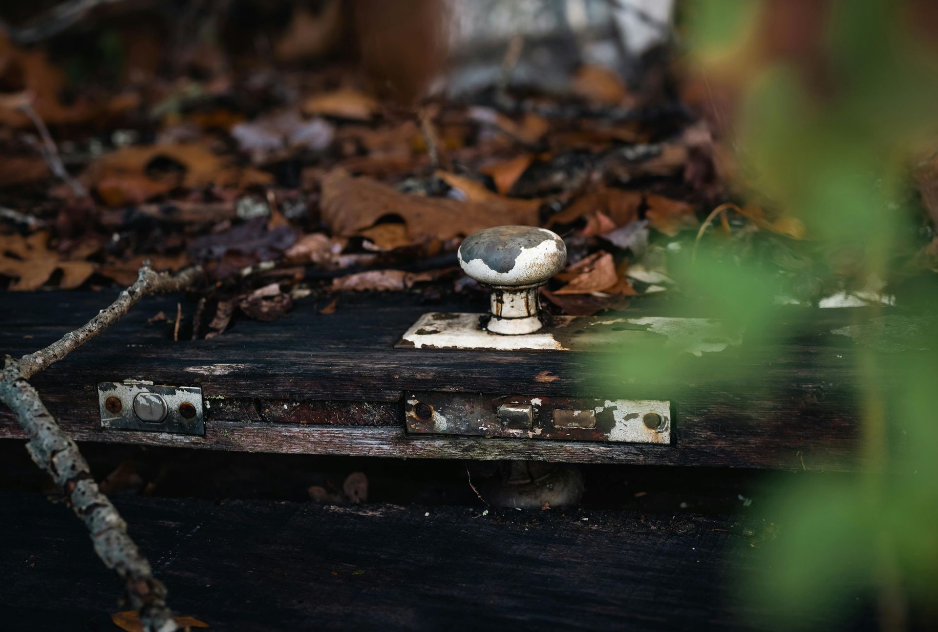 Old, weathered door with a white doorknob and rusty hardware; surrounded by leaves and branches.