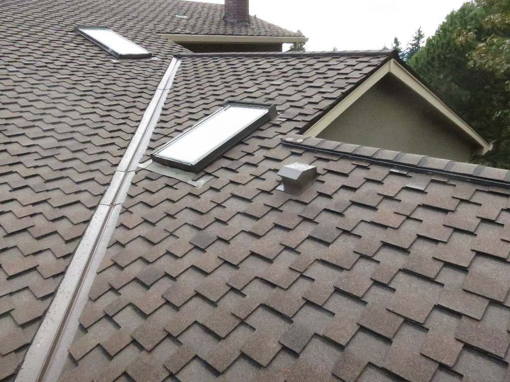 roof replacement 