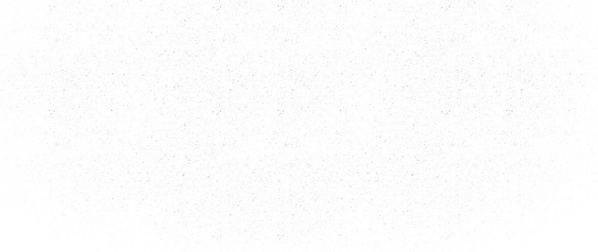 Mostly blank white image with faint gray speckles