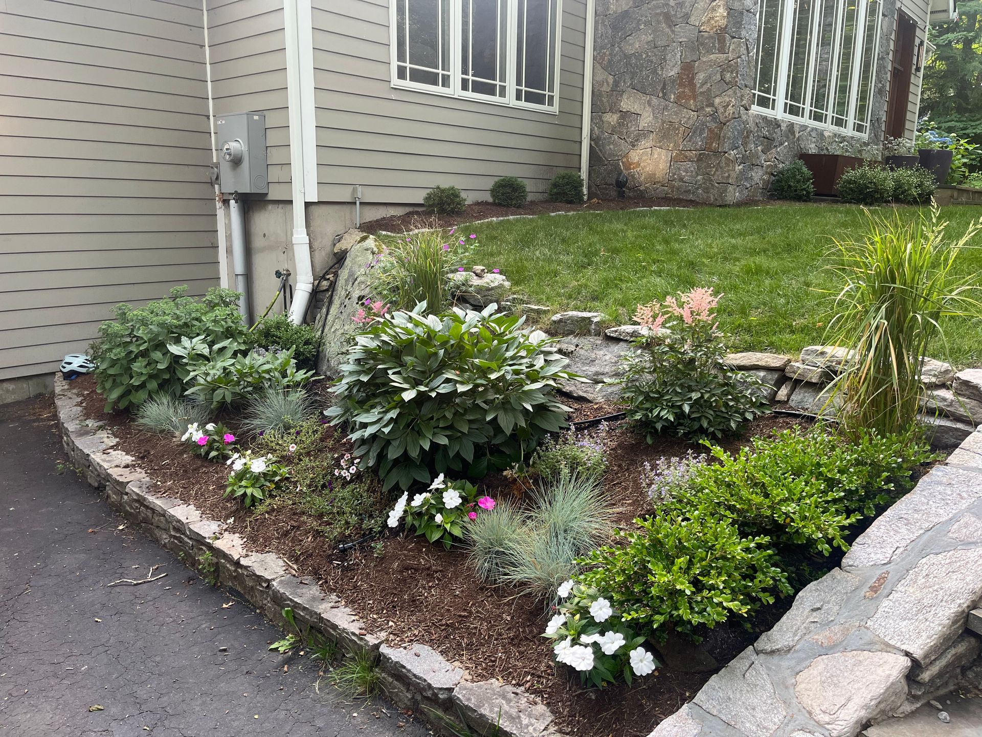 A garden with flowers and shrubs in front of a house.