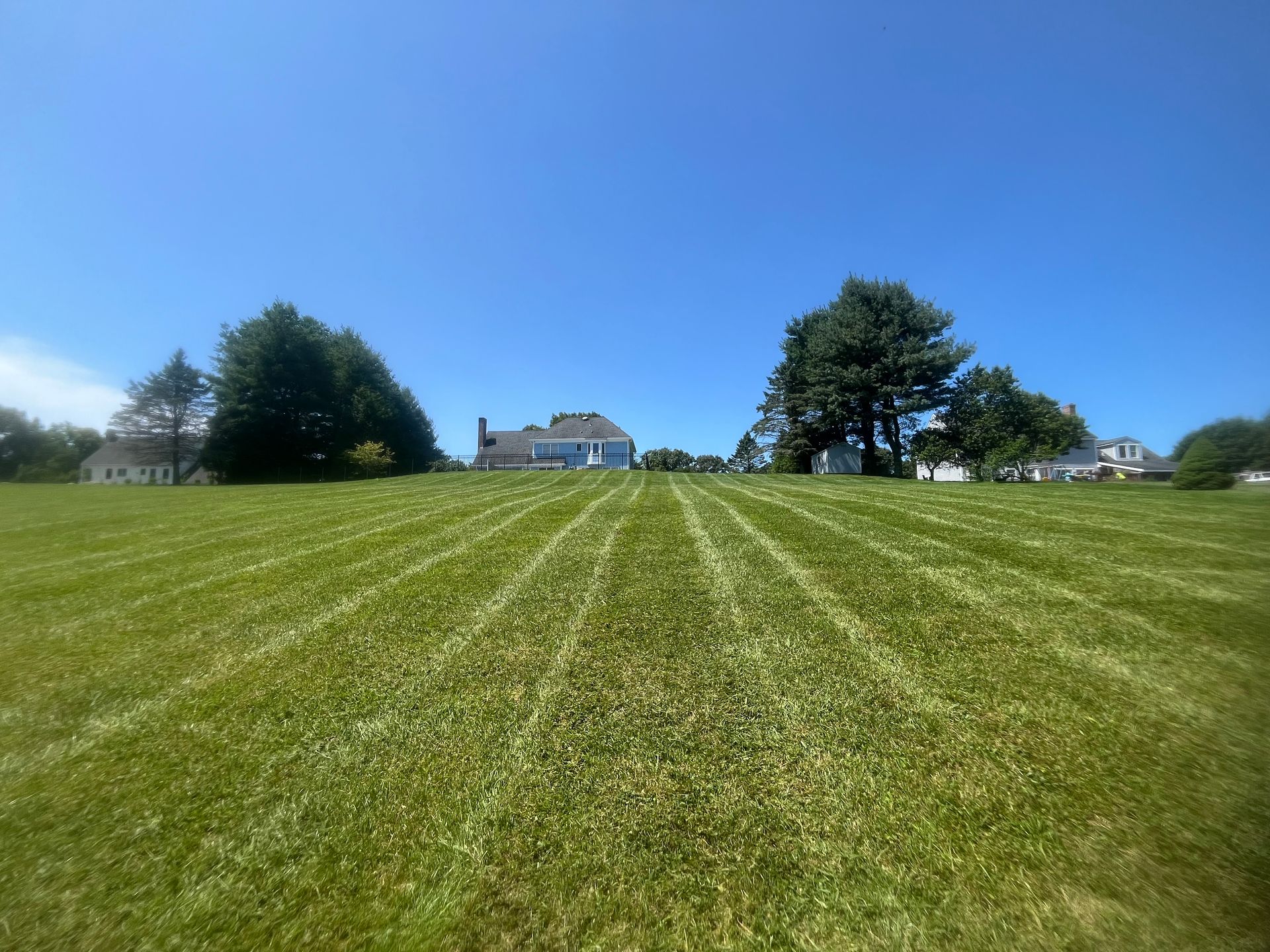 A lush green field with a house in the background