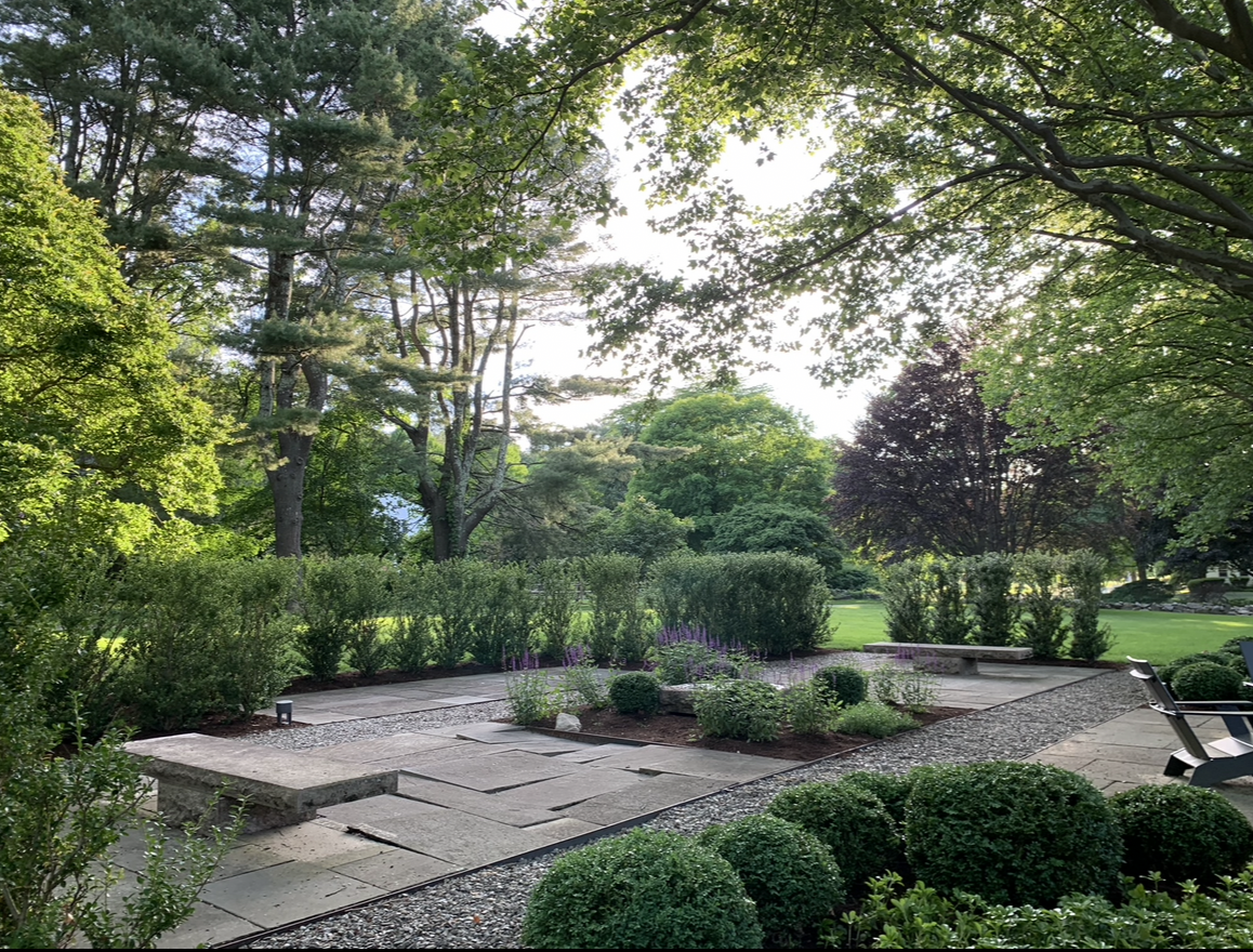 hedge, shrub and bush trimming services