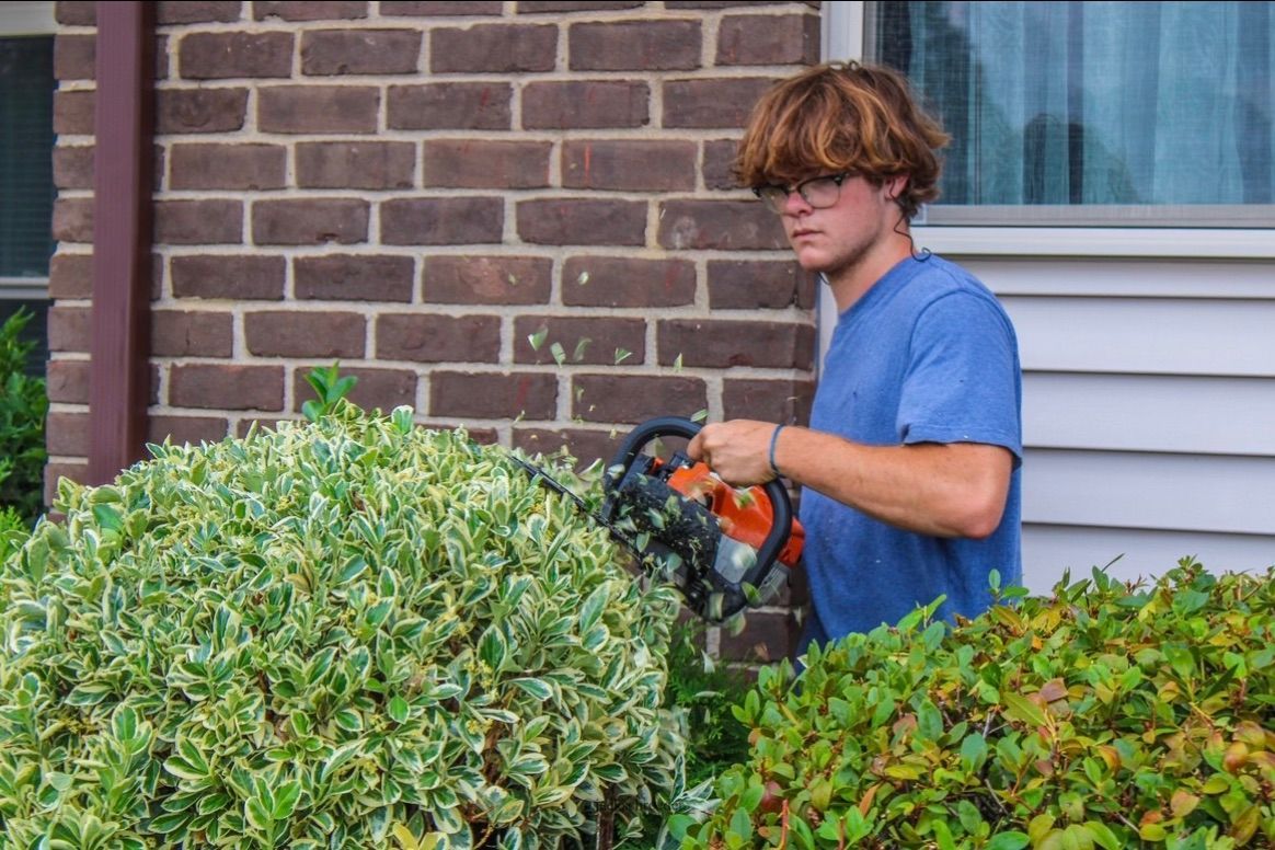 residential shrub trimming service