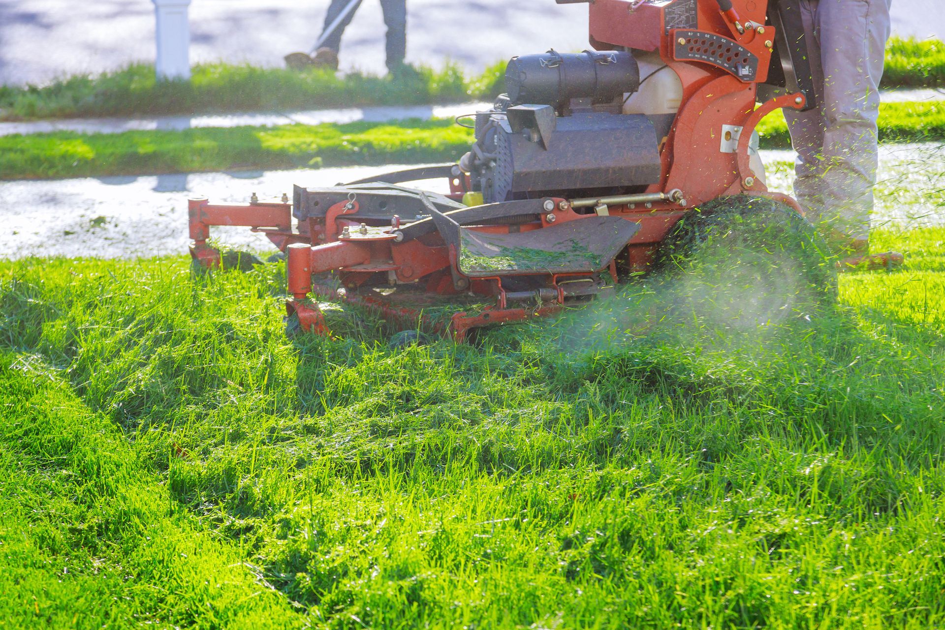 Lawn Mowing