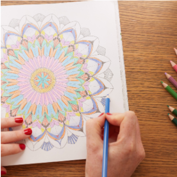 There are many different types of air plants on a wooden plate.