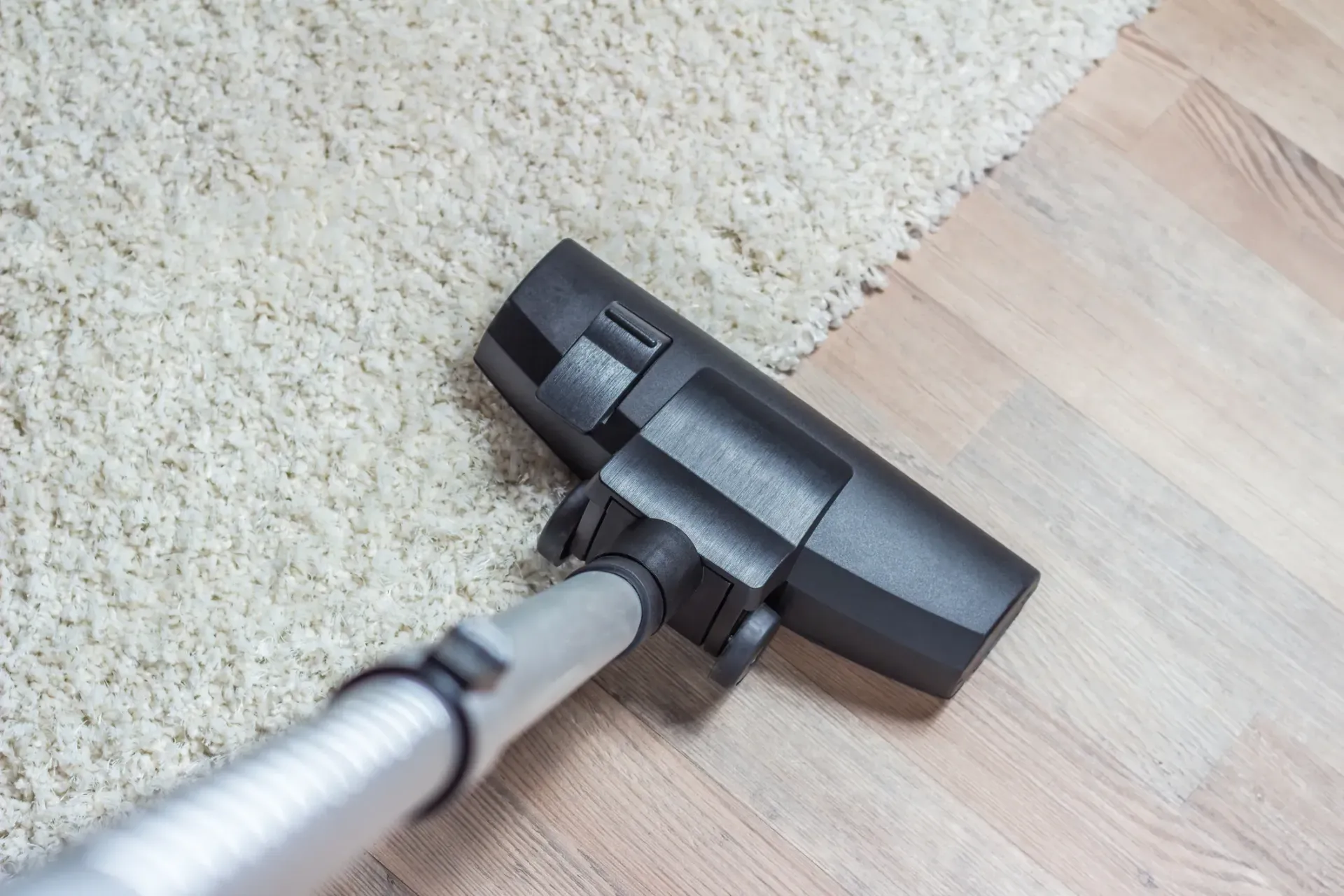 pro steam carpet cleaning