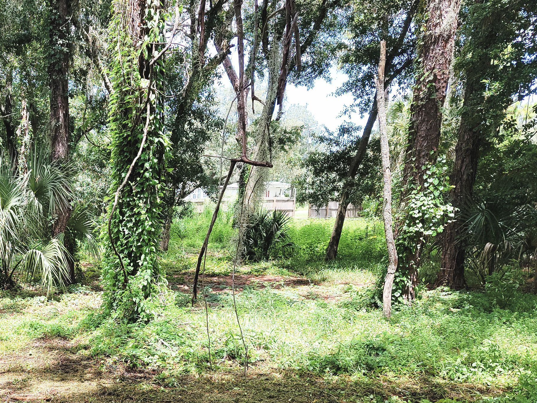 There is a swing in the middle of the woods.