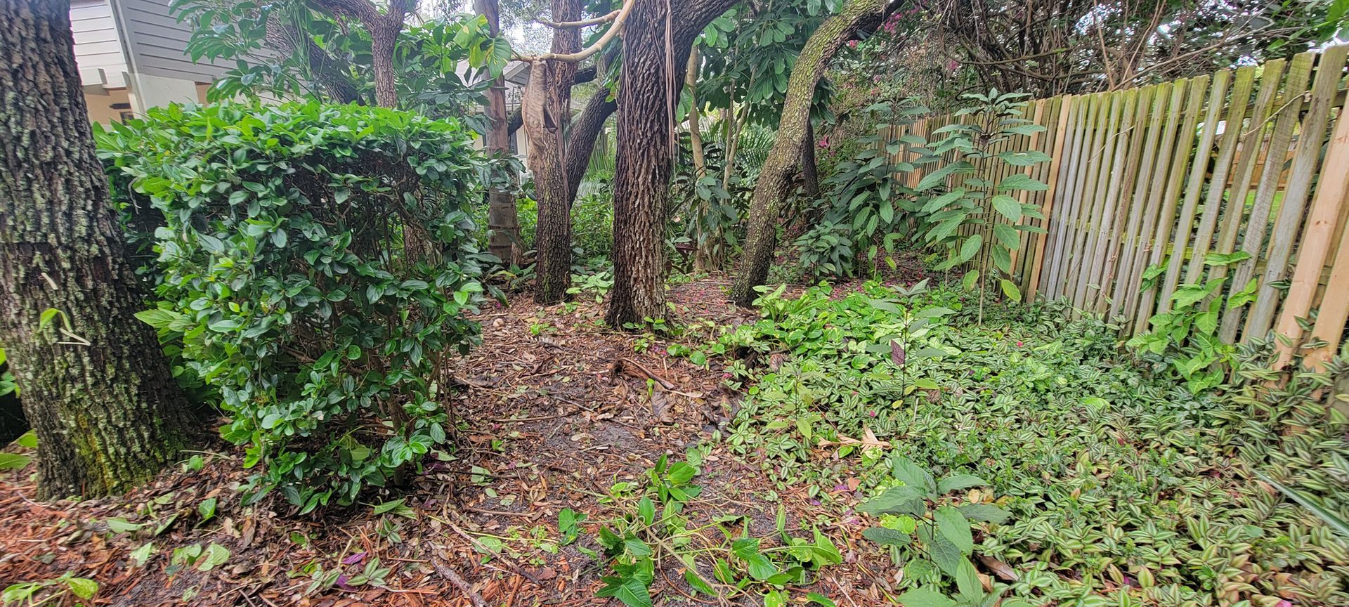 A wooden fence is surrounded by trees and bushes in a backyard.