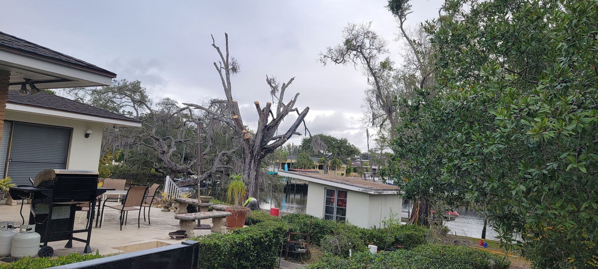 A house with a broken tree in front of it.