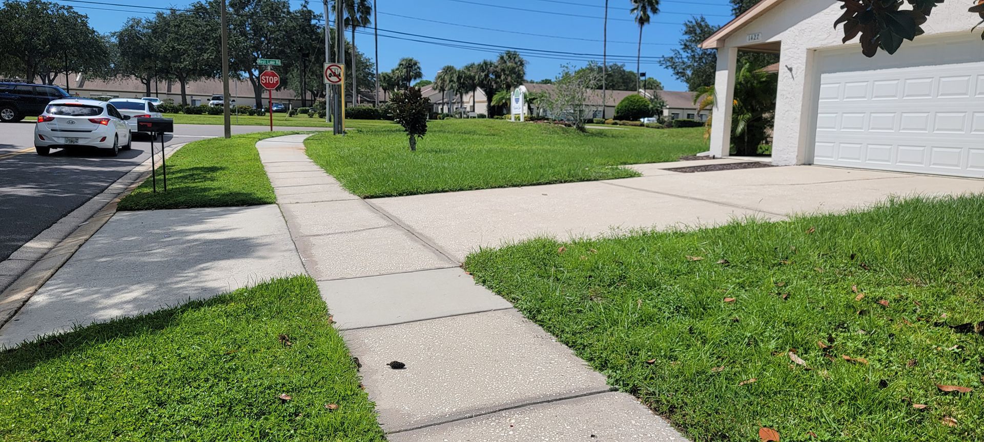 A sidewalk leading to a house with a white garage door.