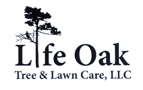 The logo for Life Oak Tree and Lawn Care LLC.