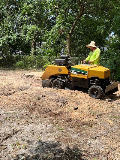 A man is using a stump grinder to remove a tree stump.