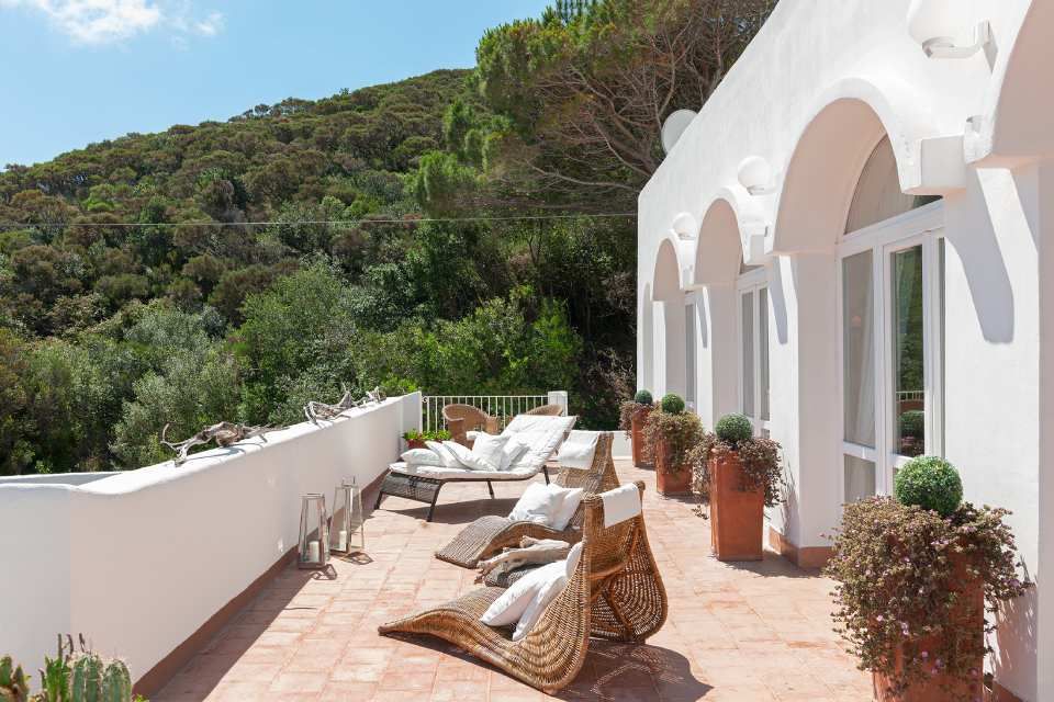 terrace with sun loungers