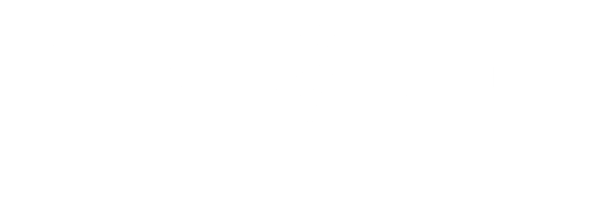 Hotel Chiaia di Luna - Logo