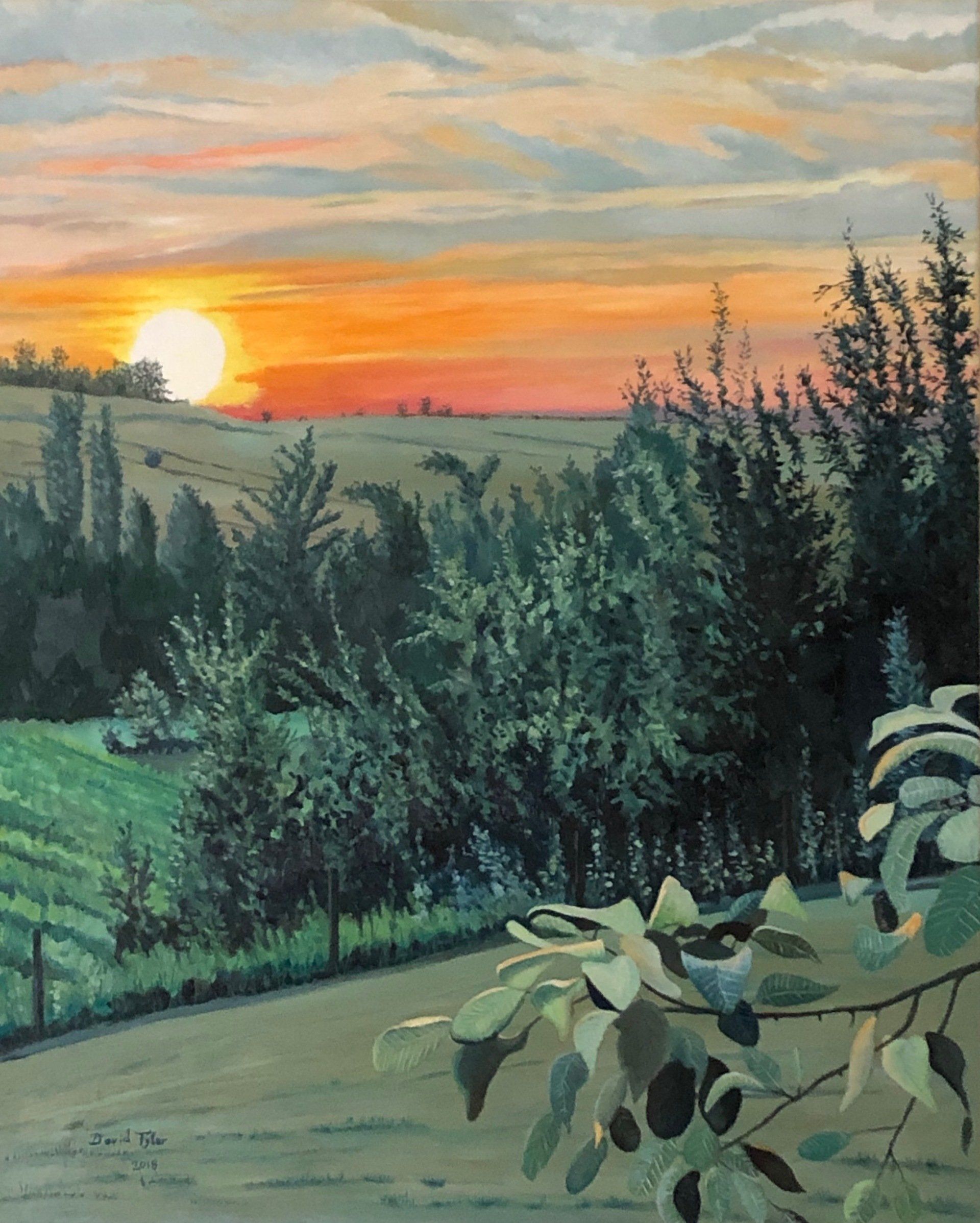 Sunset at Le Clos Mirande, near Lussac, Saint Emilion, France, 2018