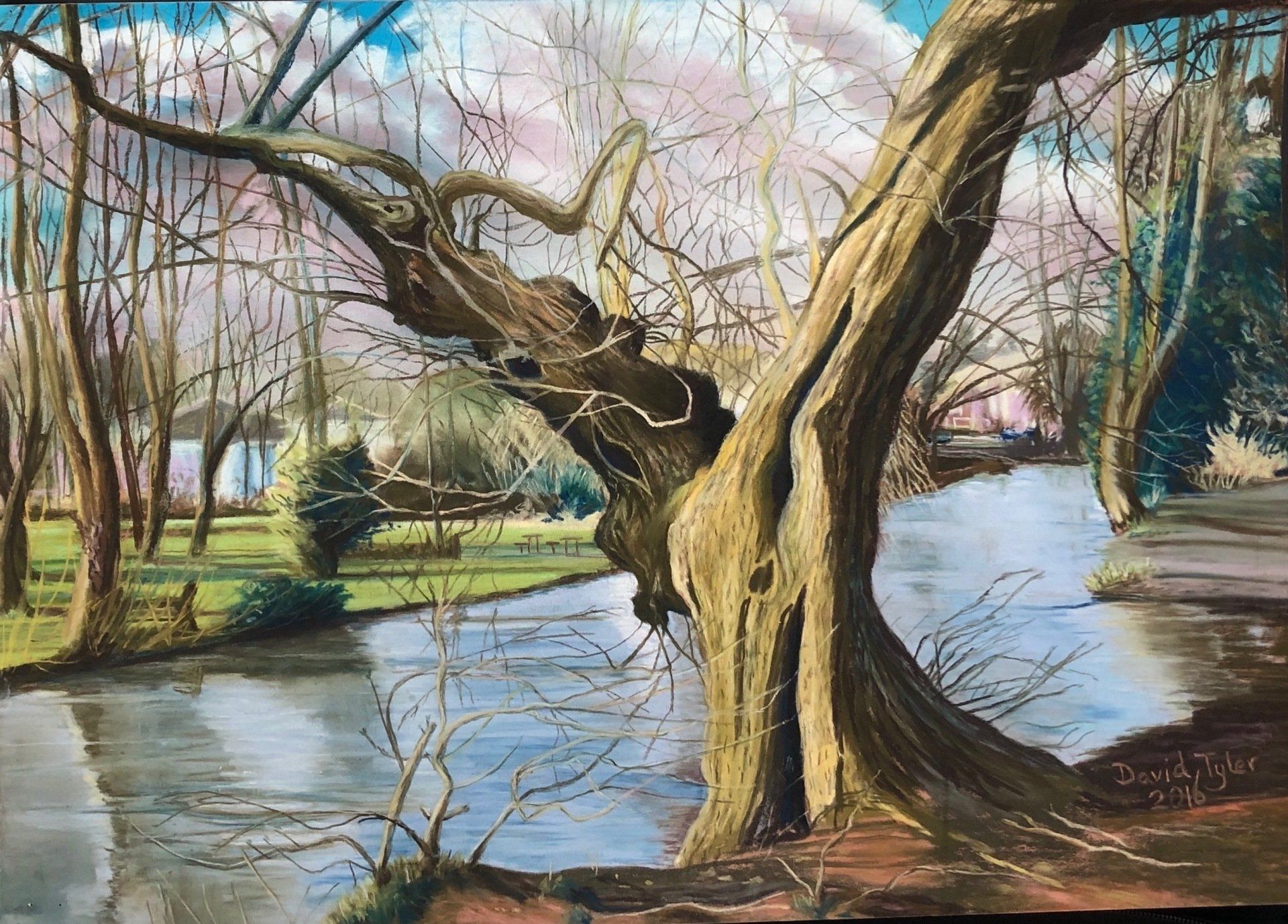 River Kennet – Tree study looking across to Priory Gardens, 2016