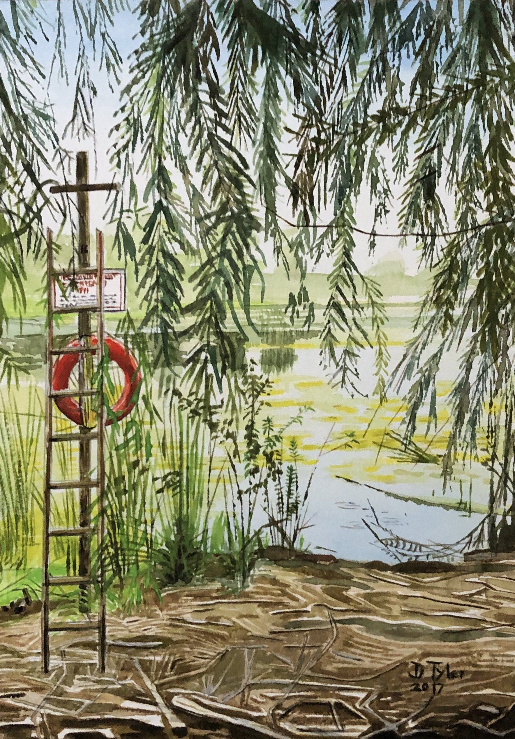 Toronto Island Park, 2017