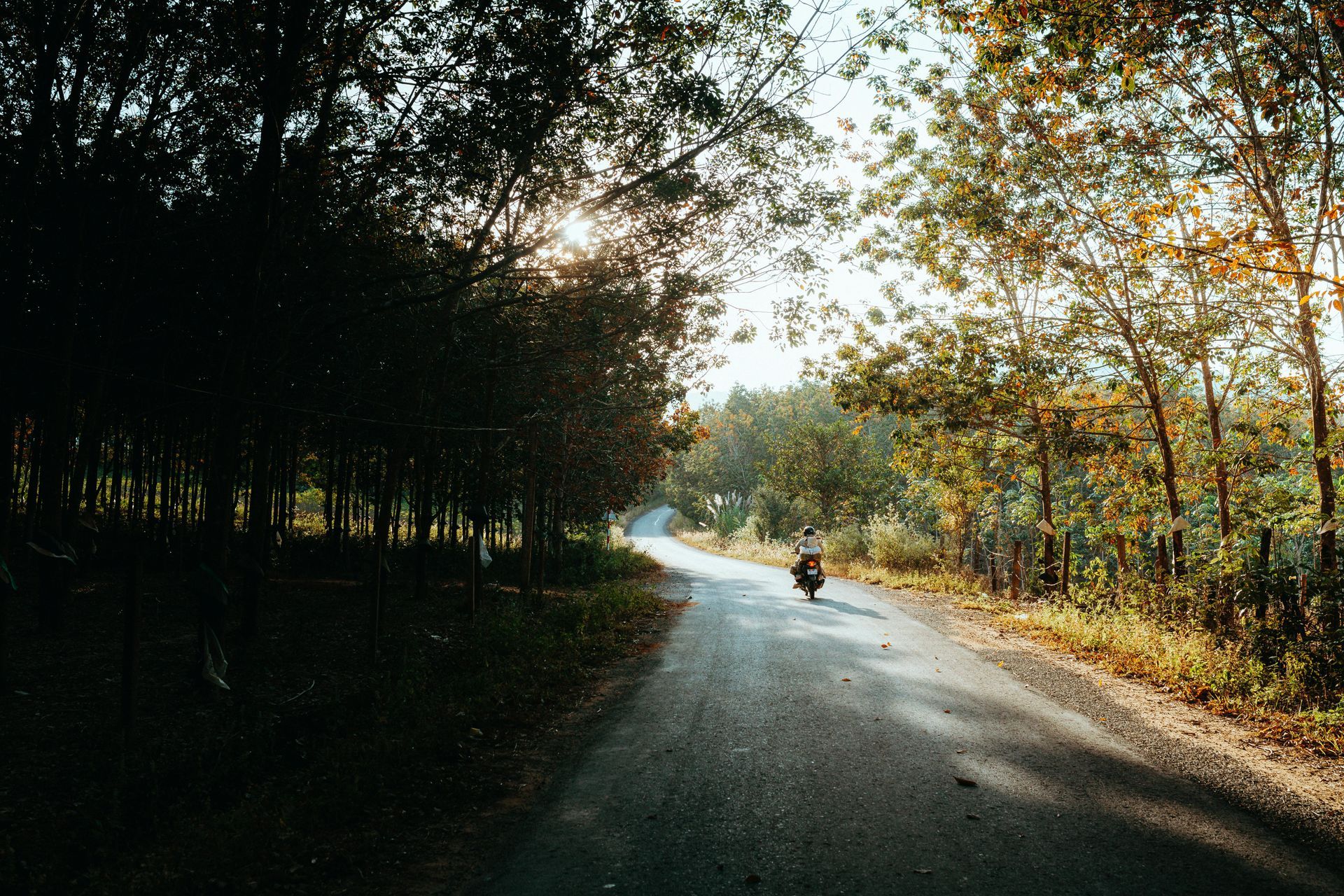 Two surgeons are operating on a patient in an operating room.