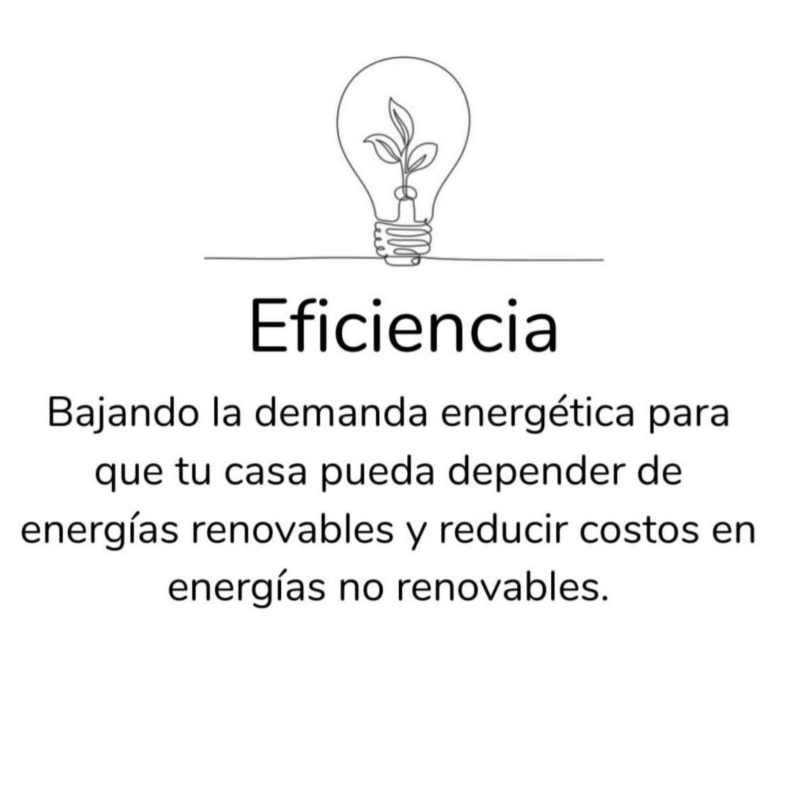 Una bombilla con una planta creciendo dentro de ella.