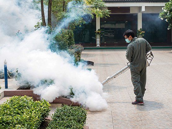 Man Fogging to Eliminate Mosquito — Parker, CO — Konold Pest Control