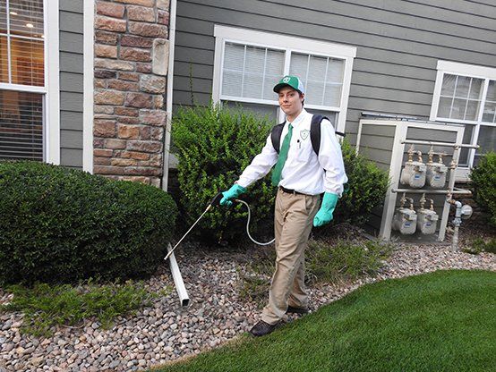 Pest Control Worker with Spraying Equipment — Parker, CO — Konold Pest Control