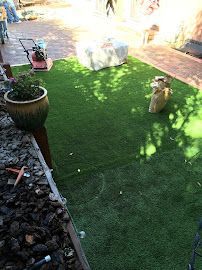 A lawn with a lawn mower and a potted plant on it.