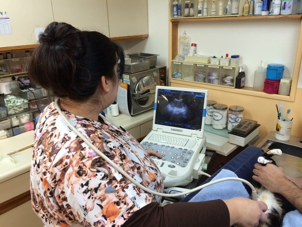 image-77247-callout1.jpg?1411574405128