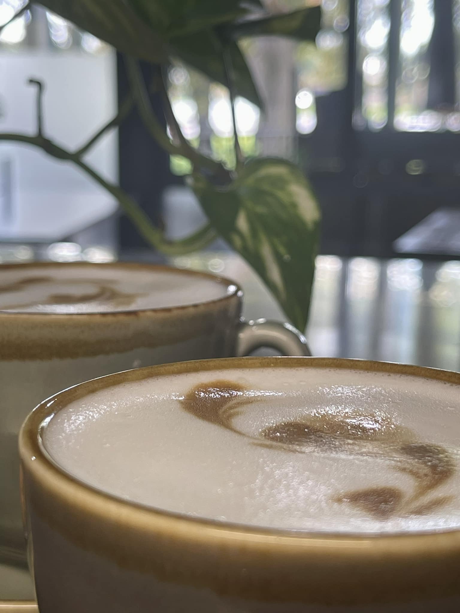 Cappuccino — Café in Maitland, NSW