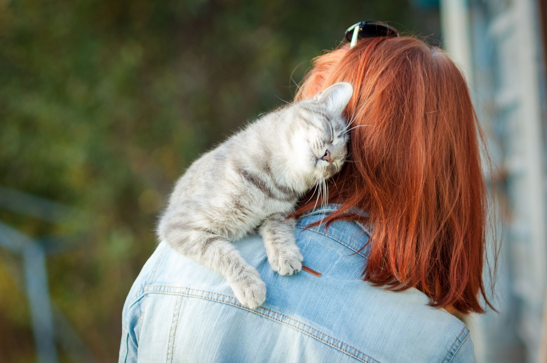 A woman is holding a kitten on her shoulder.