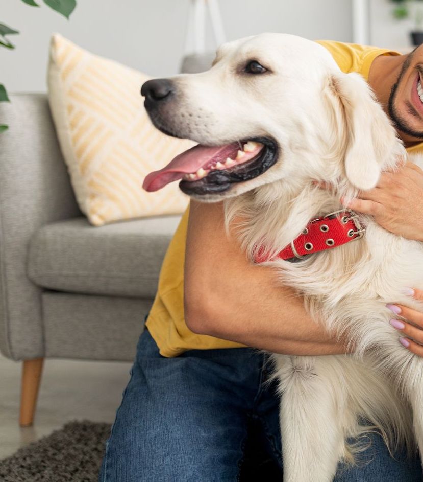 A man is holding a white dog with a red collar.