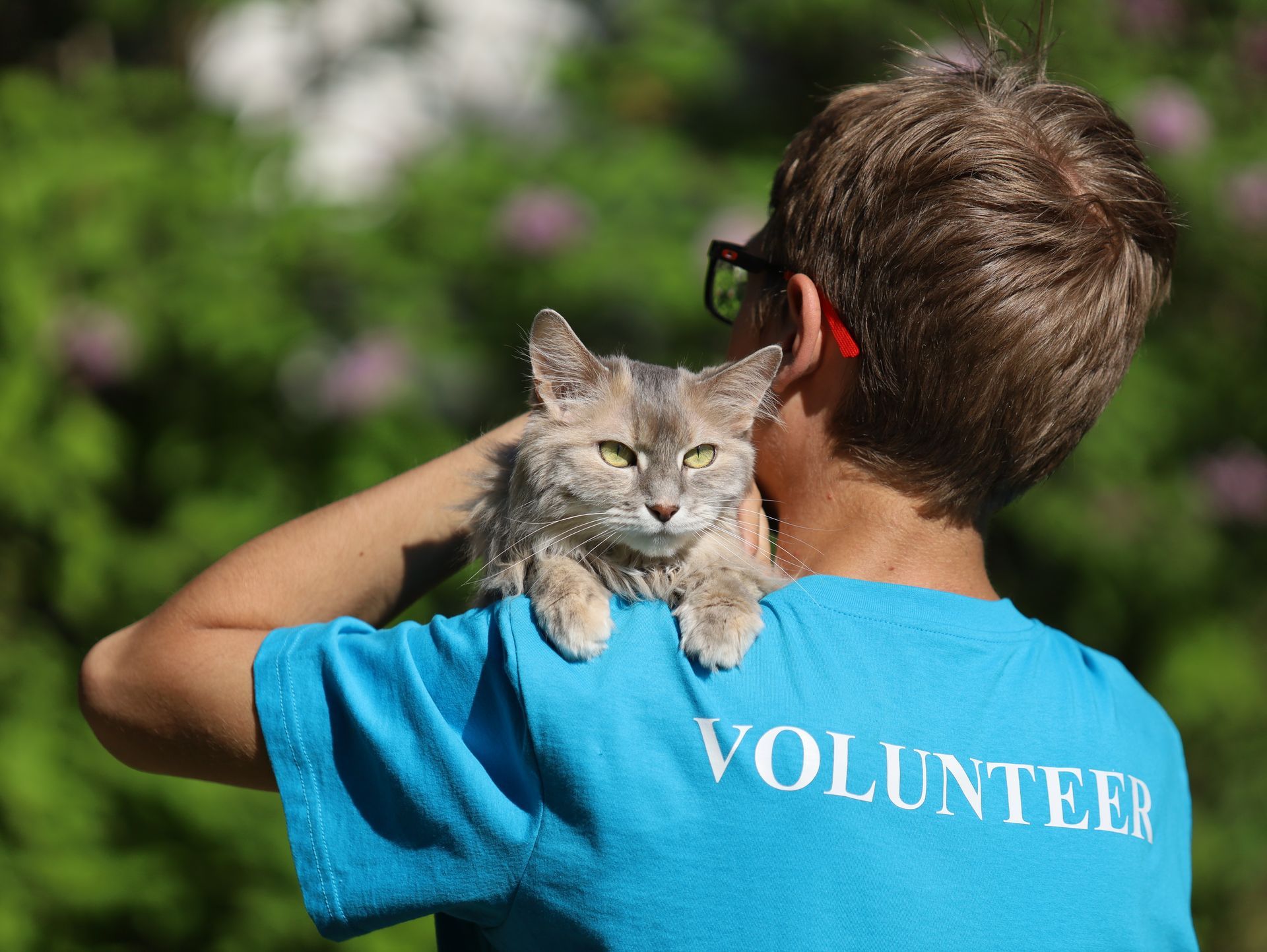 A boy wearing a blue volunteer shirt holds a cat on his shoulder