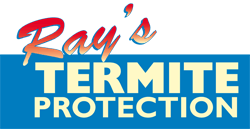 Ray’s Termite Protection & Pest Control is Your Termite Control Service in the Sunshine Coast