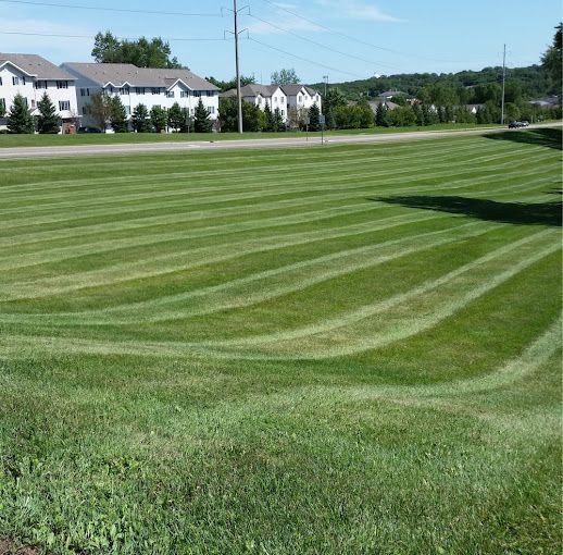 A lush green lawn with houses in the background
