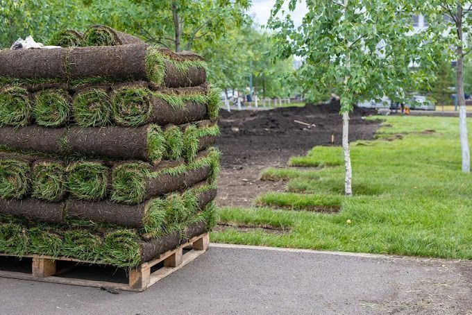 A pallet filled with rolls of turf is sitting on the side of the road.