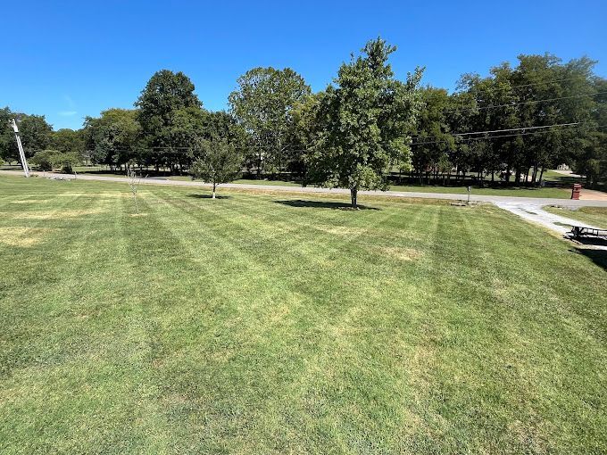 A lush green field of grass with trees in the background