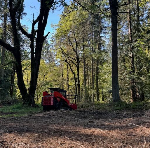 A red tractor is parked in the middle of a forest.