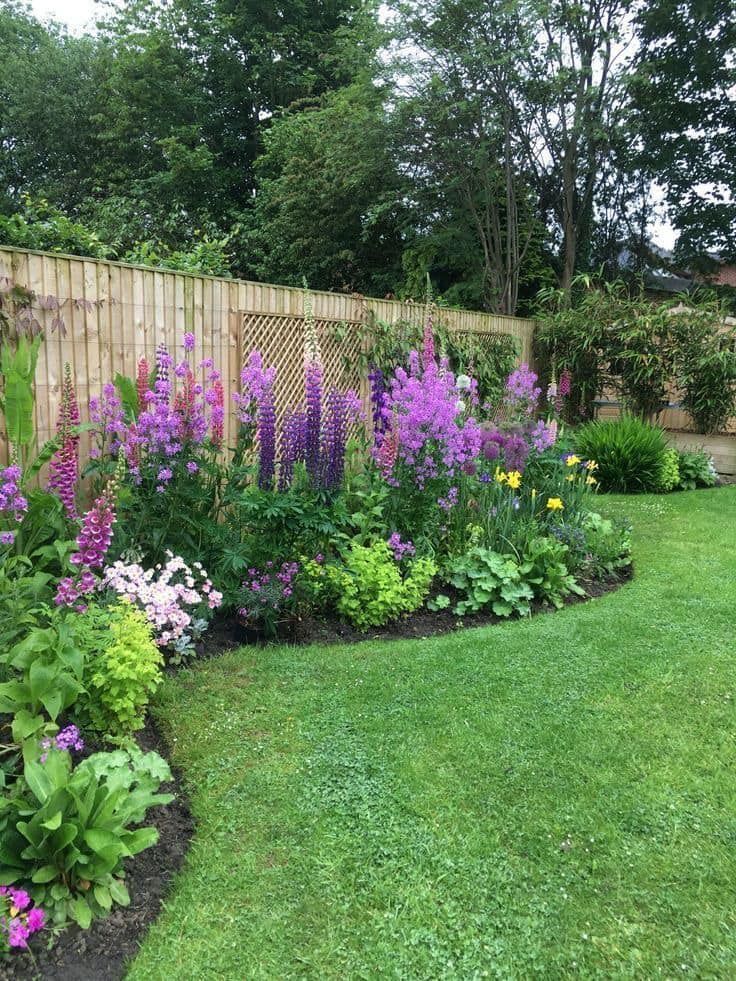 A garden with purple and pink flowers and a wooden fence.