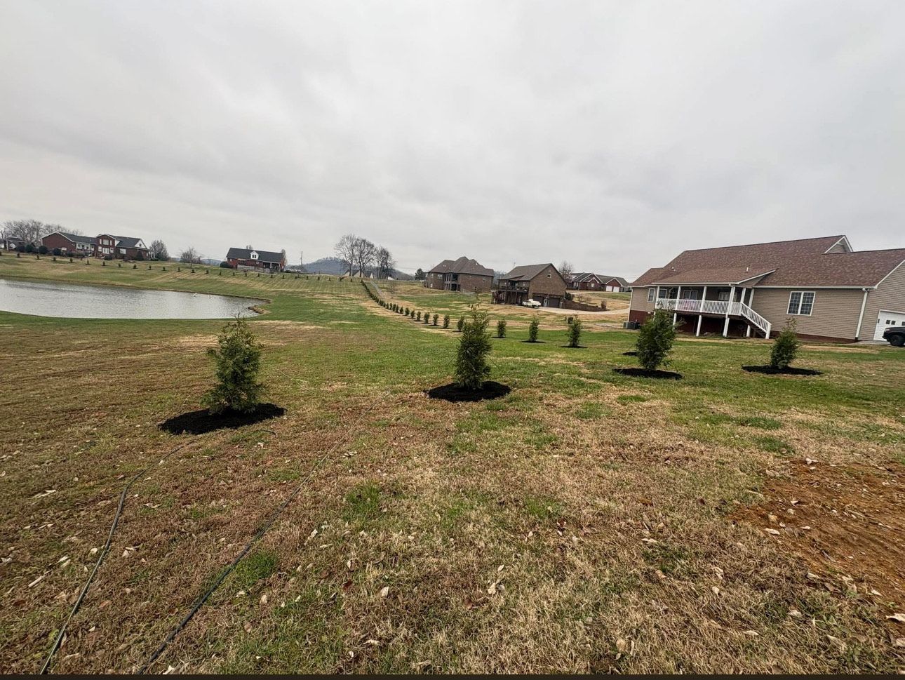 Brick house with red brick, shrubs, and green lawn under a cloudy sky.