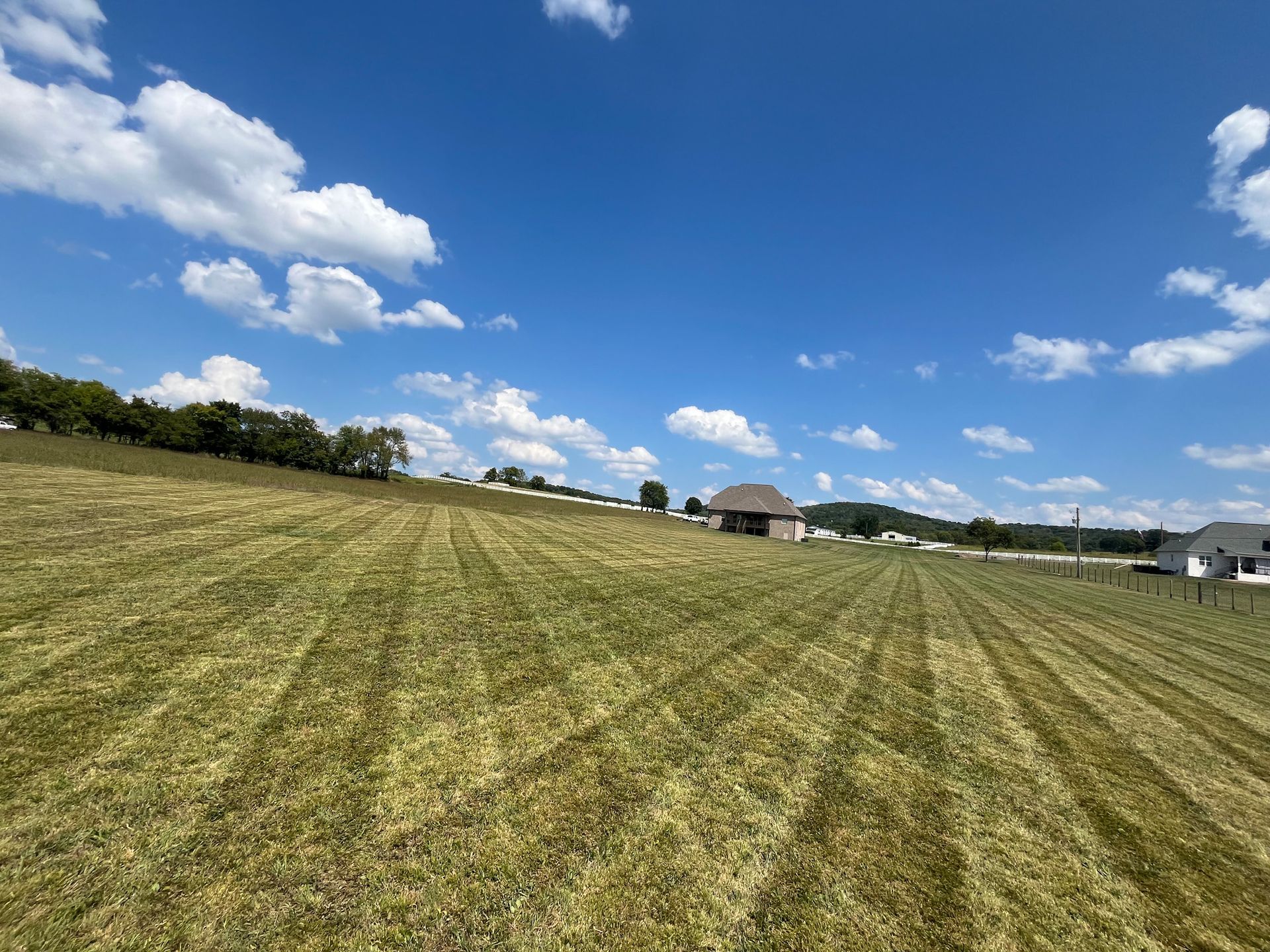 A large grassy field with a house in the background on a sunny day.