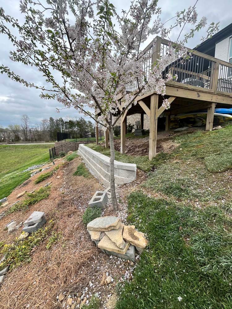Flowering tree on a sloped yard, beside a deck; retaining wall and overcast sky.